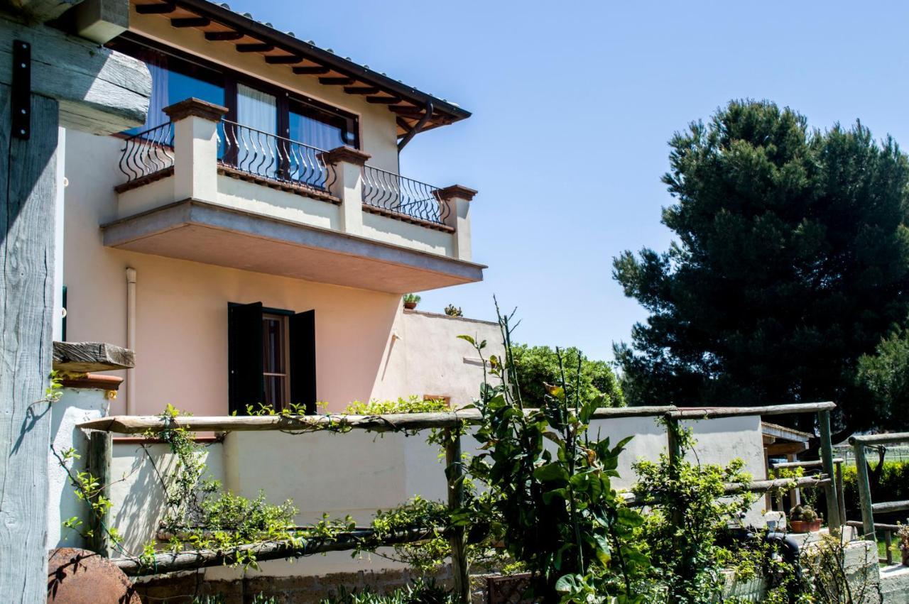 Villa Enli Capalbio Exteriör bild